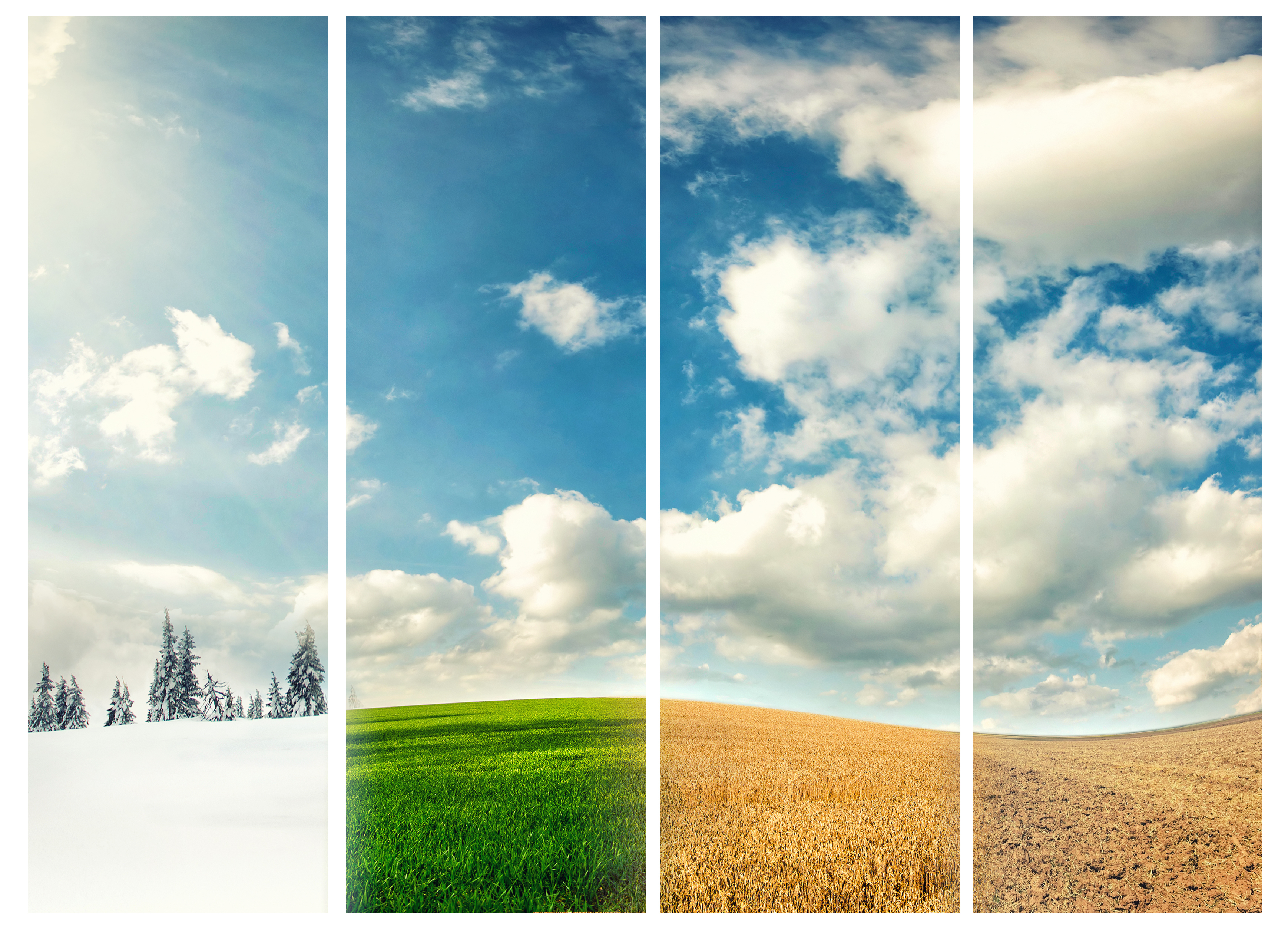 shutterstock_628135274