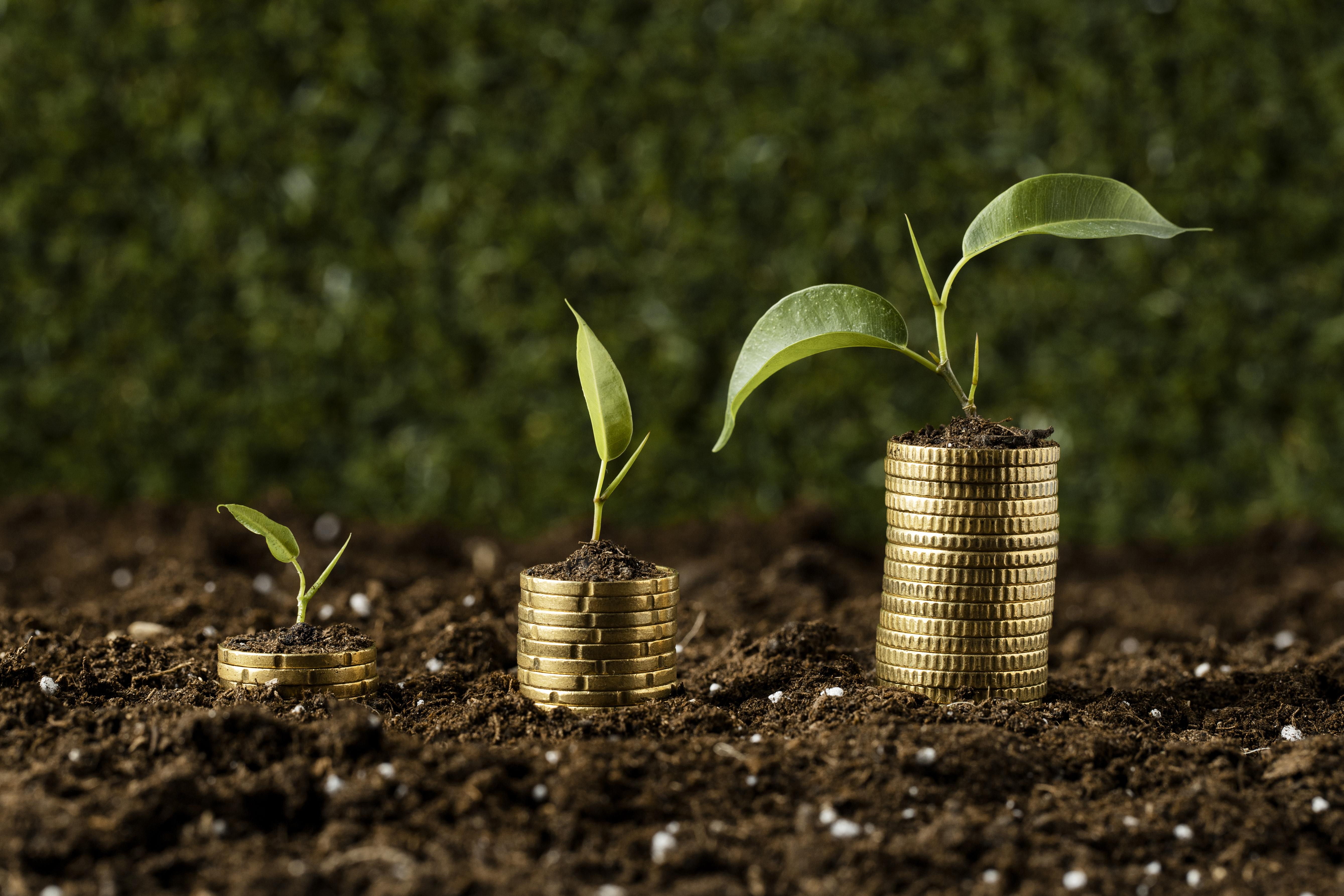 coins-stacked-dirt-with-plants