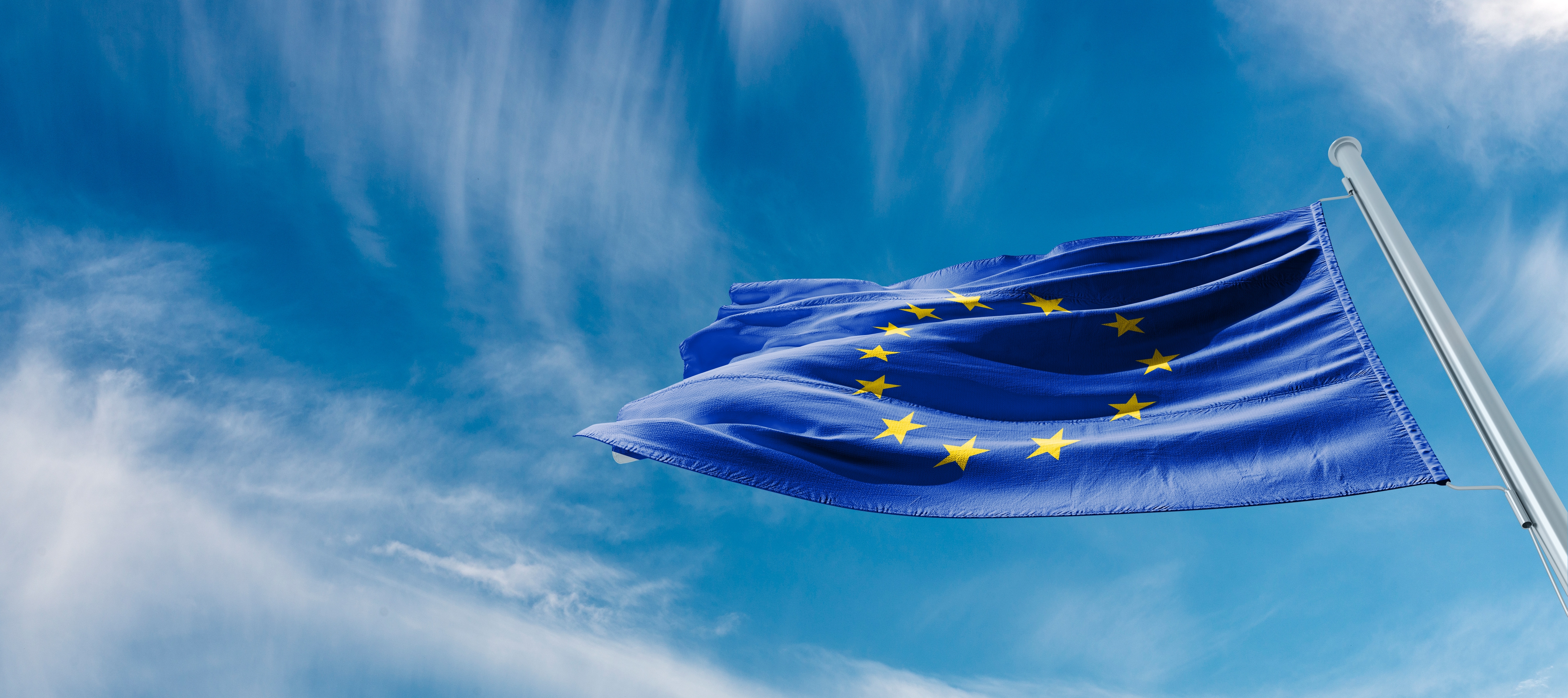 shutterstock_2268201751