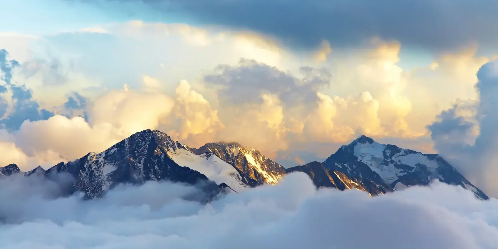 uri_ifs___M_4sr6HLi1WnZ-7Qp4ey9GxAQ5iIkP7_Ztu95rYsnH5ys